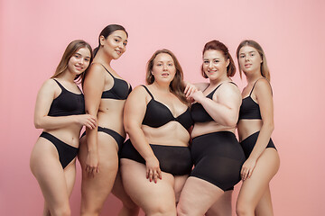 Image showing Portrait of beautiful young women with different shapes posing on pink background