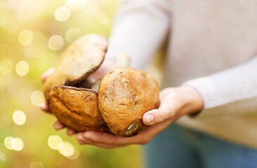 Image showing close up of woman holding mushrooms in forest