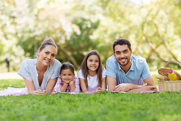 Image showing family laying on picnic blanket in summer park