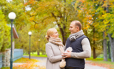 Image showing smiling couple in autumn park