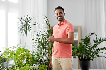 Image showing indian man taking care of houseplants at home