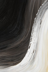 Image showing Black and white oil-painted curve