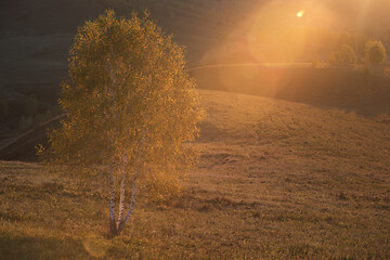 Image showing Beauty sunrise in the mountains