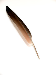 Image showing QUILL