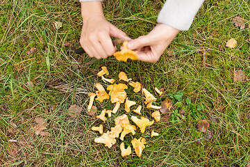 Image showing hands cleaning mushrooms by knife in forest