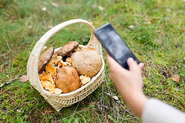 Image showing woman photographing mushrooms by smartphone