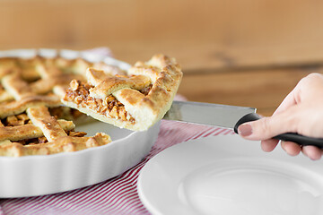 Image showing close up of hand with piece of apple pie on knife