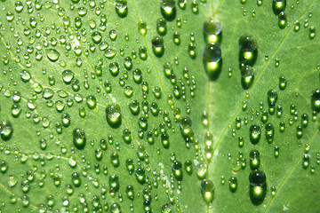 Image showing water drops background