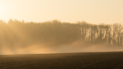 Image showing country landscape in the morning in the mist