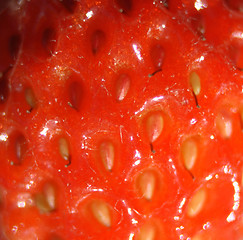 Image showing strawberry background