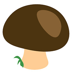 Image showing A mushroom with green top vector or color illustration