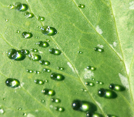 Image showing water drops background