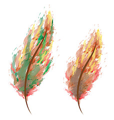 Image showing Water color feathers in shades vector or color illustration