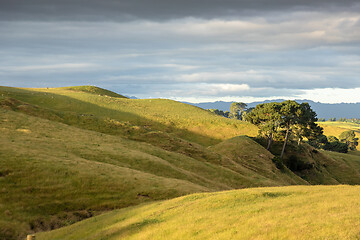 Image showing typical rural landscape in New Zealand