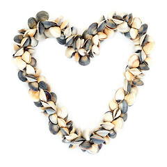 Image showing Heart Wreath of Clam Seashells