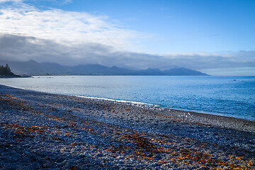 Image showing Kaikoura coast and beach, New Zealand