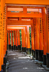 Image showing Fushimi Inari Taisha torii, Kyoto, Japan