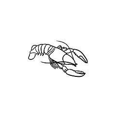 Image showing Lobster hand drawn sketch icon.