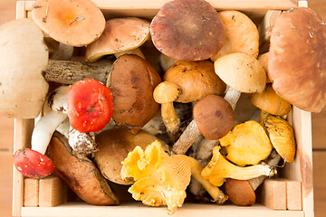 Image showing wooden box of different edible mushrooms