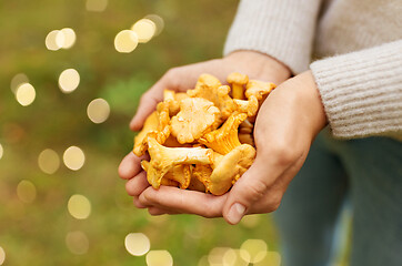 Image showing close up of woman hands with mushrooms in forest