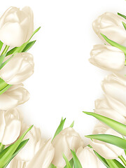 Image showing Tulips decorative background. EPS 10