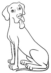 Image showing grea dane purebred dog