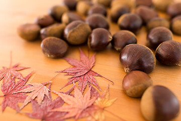 Image showing Autumn maple leaves and chestnut