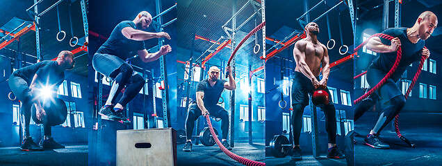 Image showing Men with battle rope battle ropes exercise in the fitness gym.