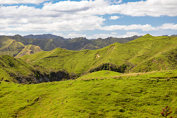 Image showing typical rural landscape in New Zealand