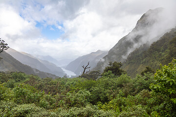 Image showing Fiordland National Park New Zealand