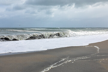 Image showing sand beach south west New Zealand