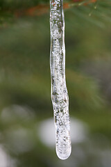 Image showing Eiszapfen  icicle