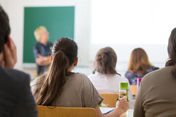 Image showing Lecturer at university.