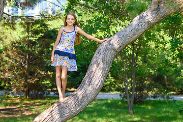 Image showing Girl climbed a tree in a city park