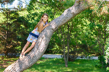 Image showing Girl climbed a tree playing in a city park