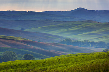 Image showing Tuscany foggy morning hill landscape