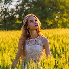 Image showing Pretty girl in field at sunset