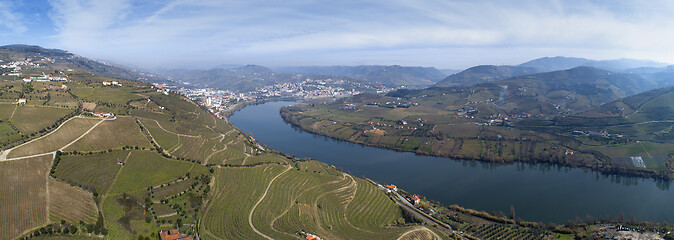 Image showing Panorama of vineyards in Douro Valley