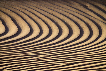 Image showing Background texture of sand dunes