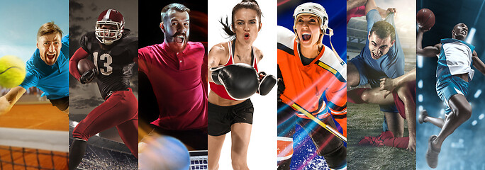 Image showing Sport collage about soccer, american football, badminton, tennis, boxing, ice and field hockey, table tennis