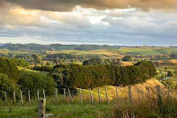 Image showing typical rural landscape in New Zealand