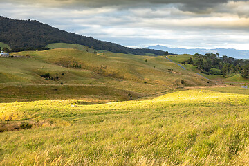 Image showing typical rural landscape in New Zealand