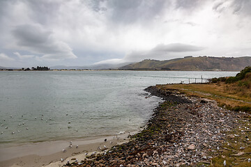 Image showing landscape at Taiaroa Head New Zealand