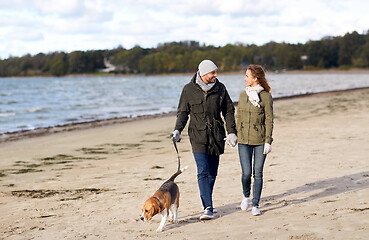 Image showing couple with beagle dog walking along autumn beach