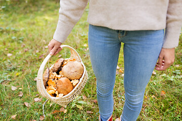 Image showing close up of woman picking mushrooms in forest