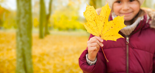 Image showing close up of little girl with maple leaf in autumn