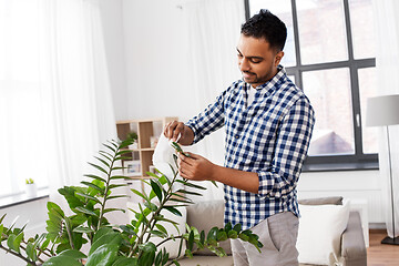 Image showing indian man cleaning houseplant\'s leaves at home