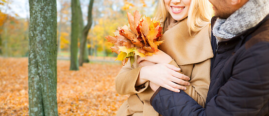 Image showing close up of smiling couple hugging in autumn park