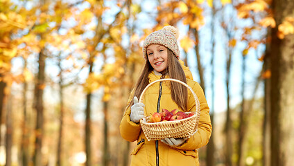 Image showing girl with apples in wicker basket at autumn park
