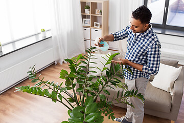 Image showing man spraying houseplant with water at home